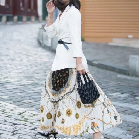 NWT ๐ ZARA ๐ Print Chain Pleated Skirt ๐ Small - Picture 4 of 8